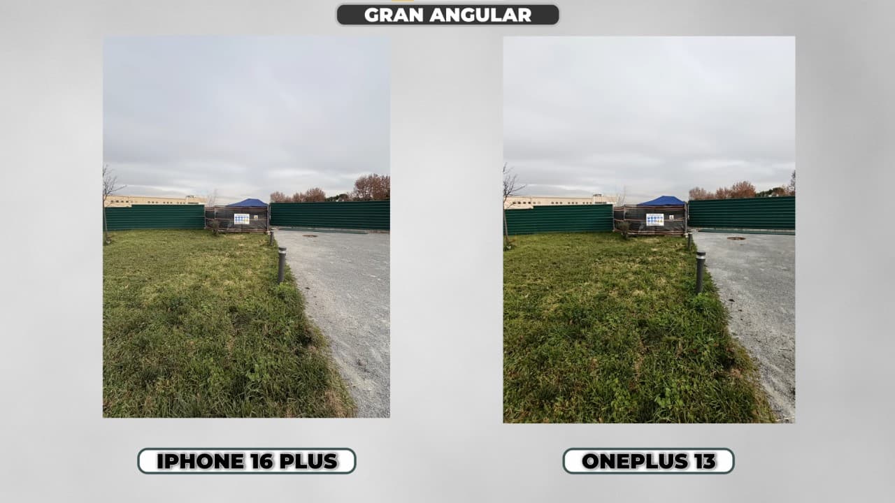 OnePlus 13 vs iPhone 16 Plus