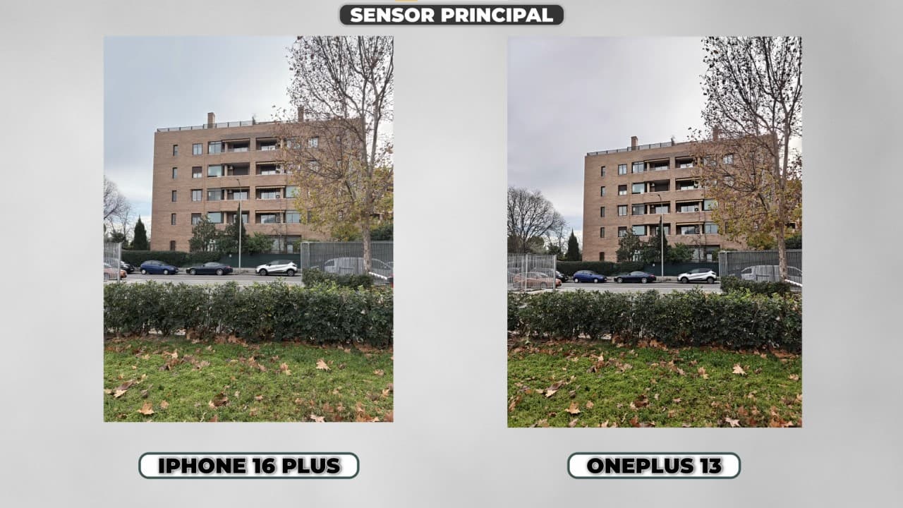 OnePlus 13 vs iPhone 16 Plus
