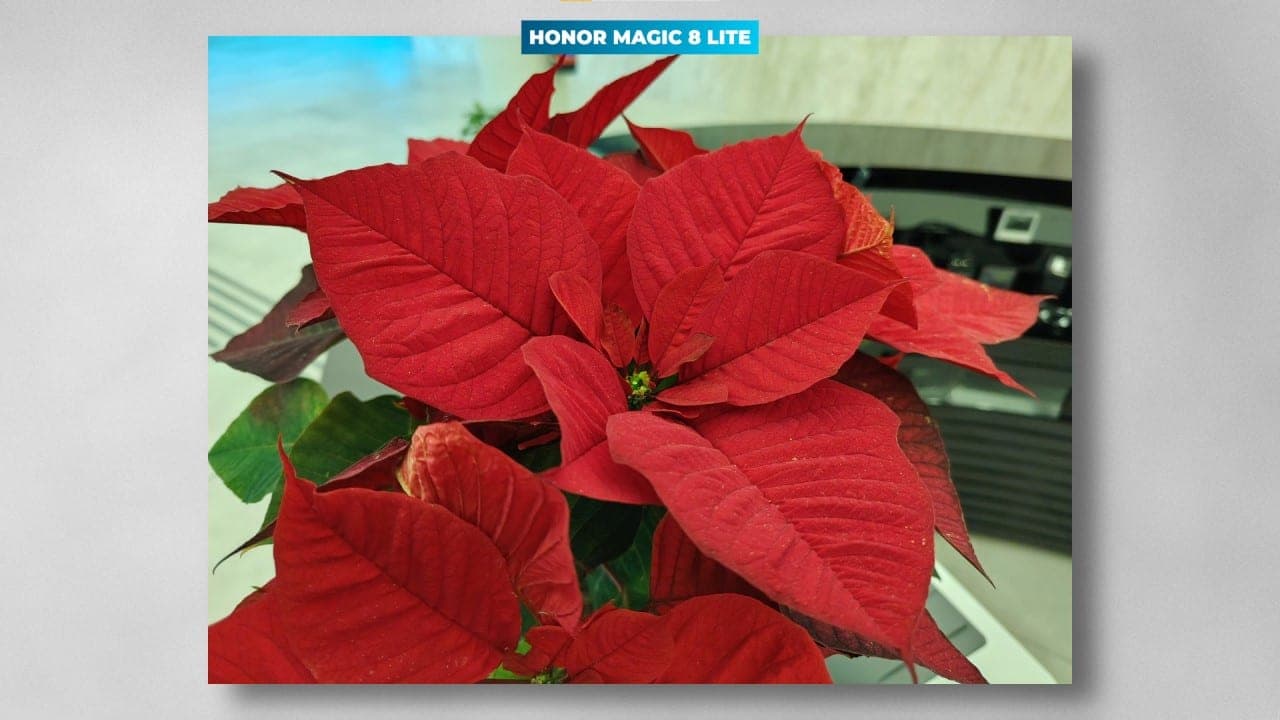 HONOR Magic8 Lite sensor principal