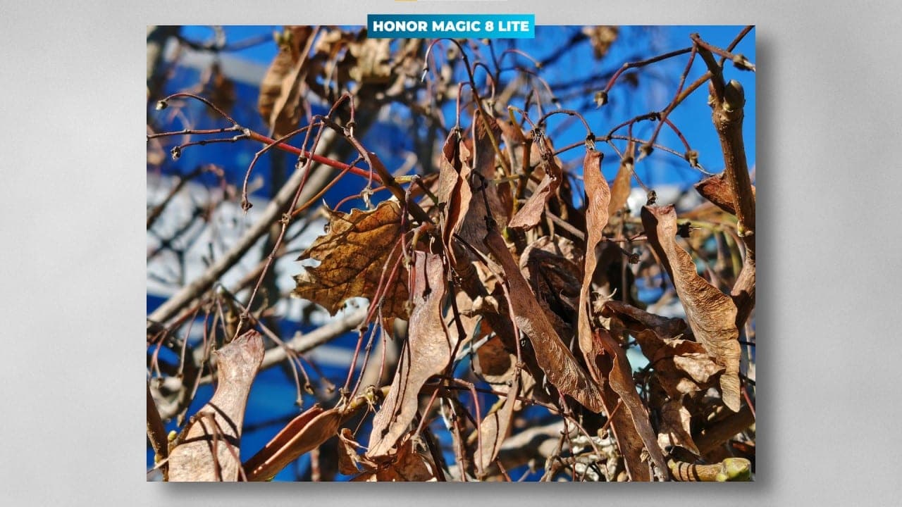 HONOR Magic8 Lite zoom