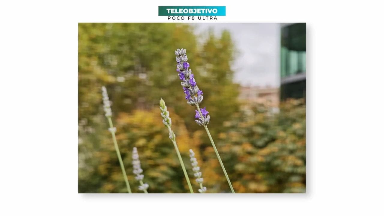 POCO F8 Ultra Teleobjetivo