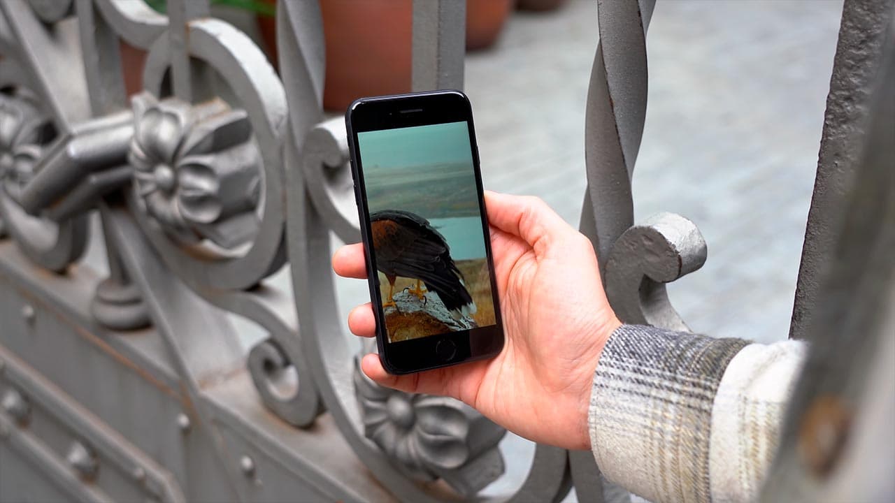 iPhone SE (2022)