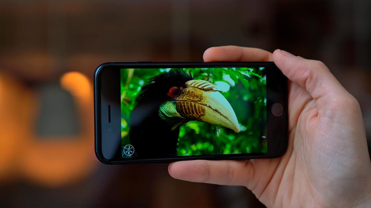 iPhone SE (2022)