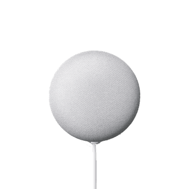 Google Nest Mini