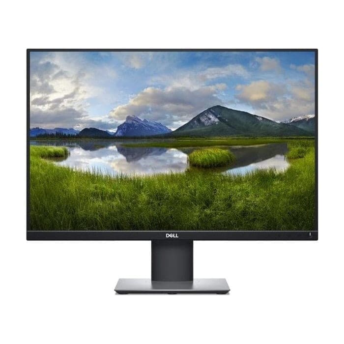 Dell P2421 24.1" Monitor