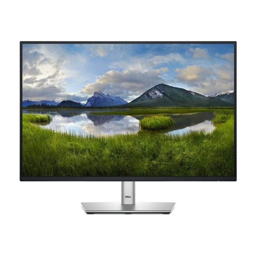 Dell P2425E 24.1"