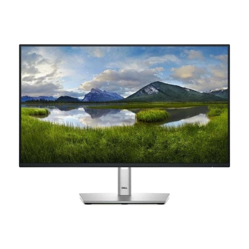 Dell P2425HE 23.8" Monitor