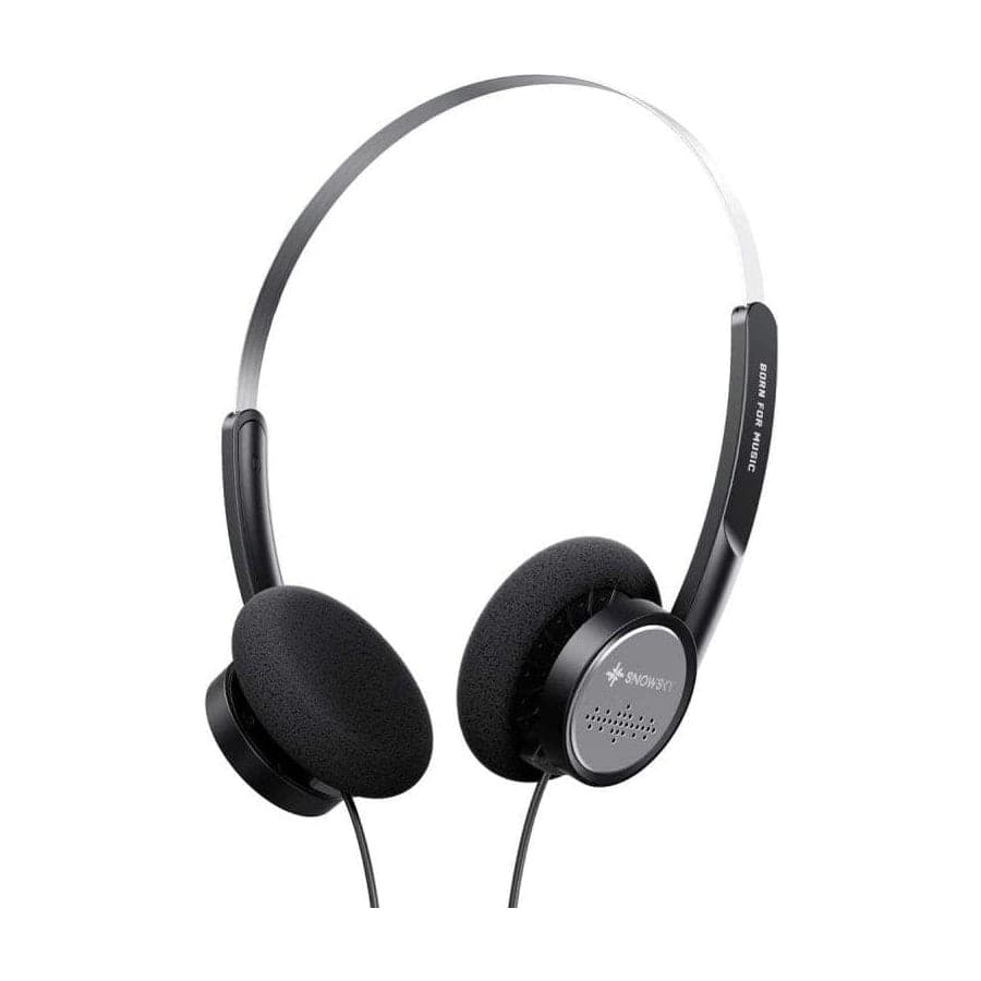 FiiO Snowsky Wind