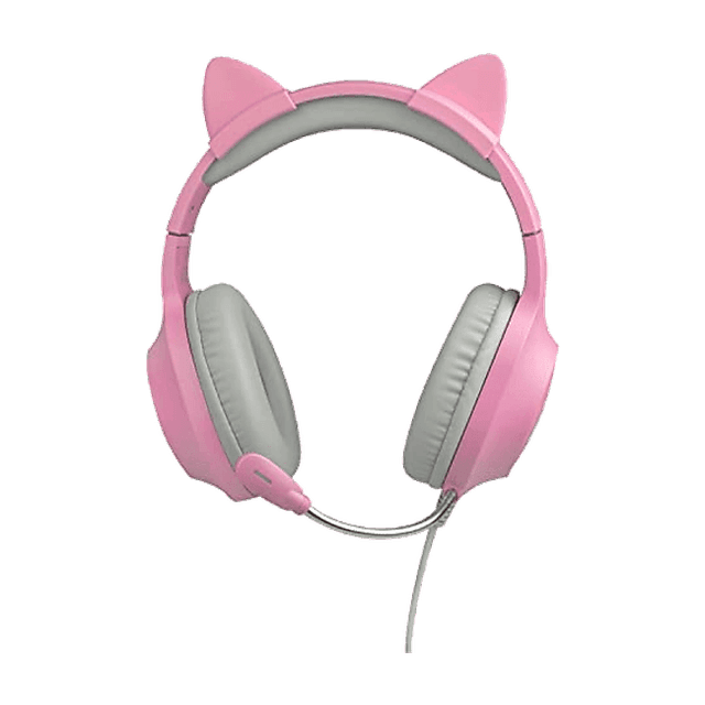 FR-TEC Tanooki