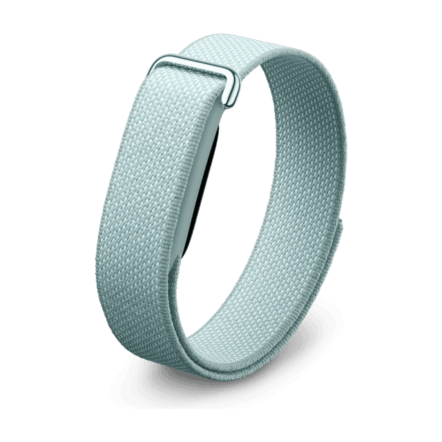 Google Fitbit Air