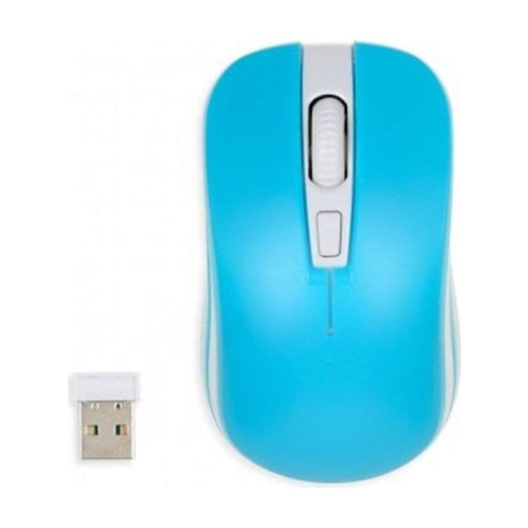 iBox Loriini