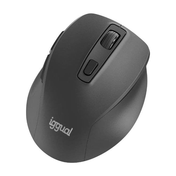 Iggual ERGO-SILENT-6D Ratón Inalámbrico