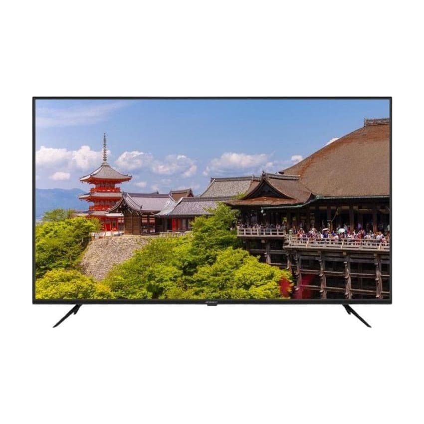 JAPANNEXT JN-IPS650UHD60F 65" Monitor