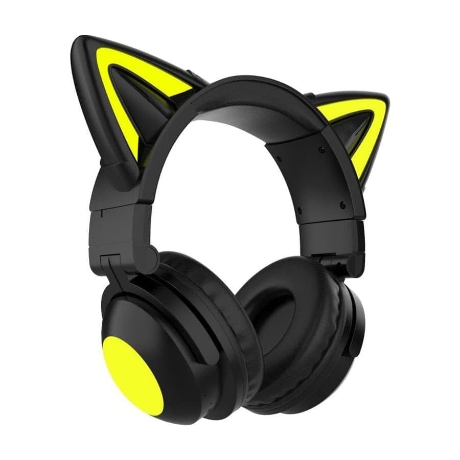 Kinsi 2S Cat