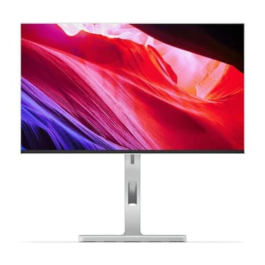 Lenovo L24m-4A 24" Full HD 100 Hz Monitor