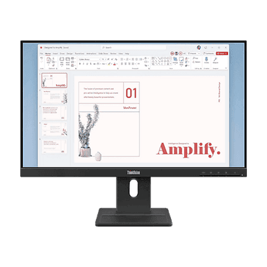 Lenovo ThinkVision E24-40 23.8"