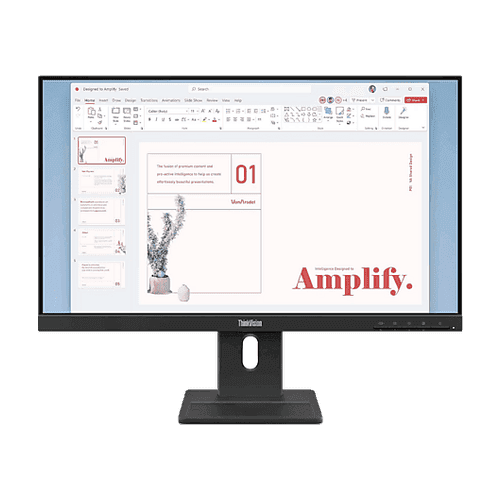 Lenovo ThinkVision E24-40 23.8"