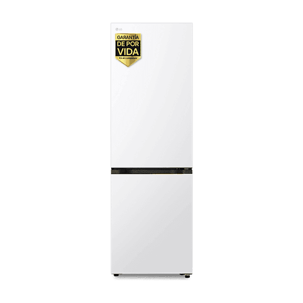 LG GBBSJ10DSWE
