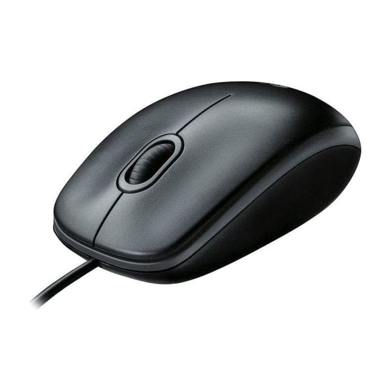 Logitech B100