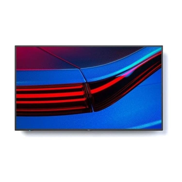 NEC MultiSync P495 49" Monitor