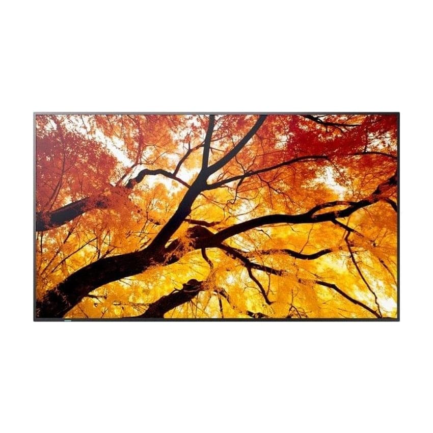 NEC MultiSync PN-M752 74.5" Monitor