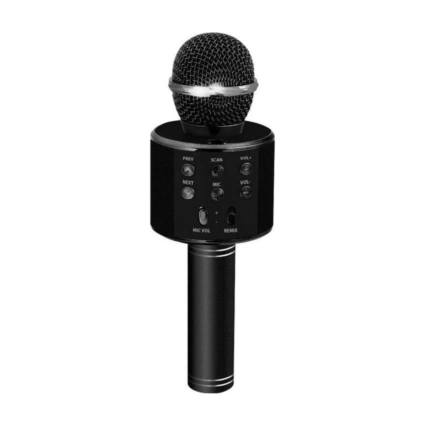 Pccom Essential Karaoke Popstar Microphone