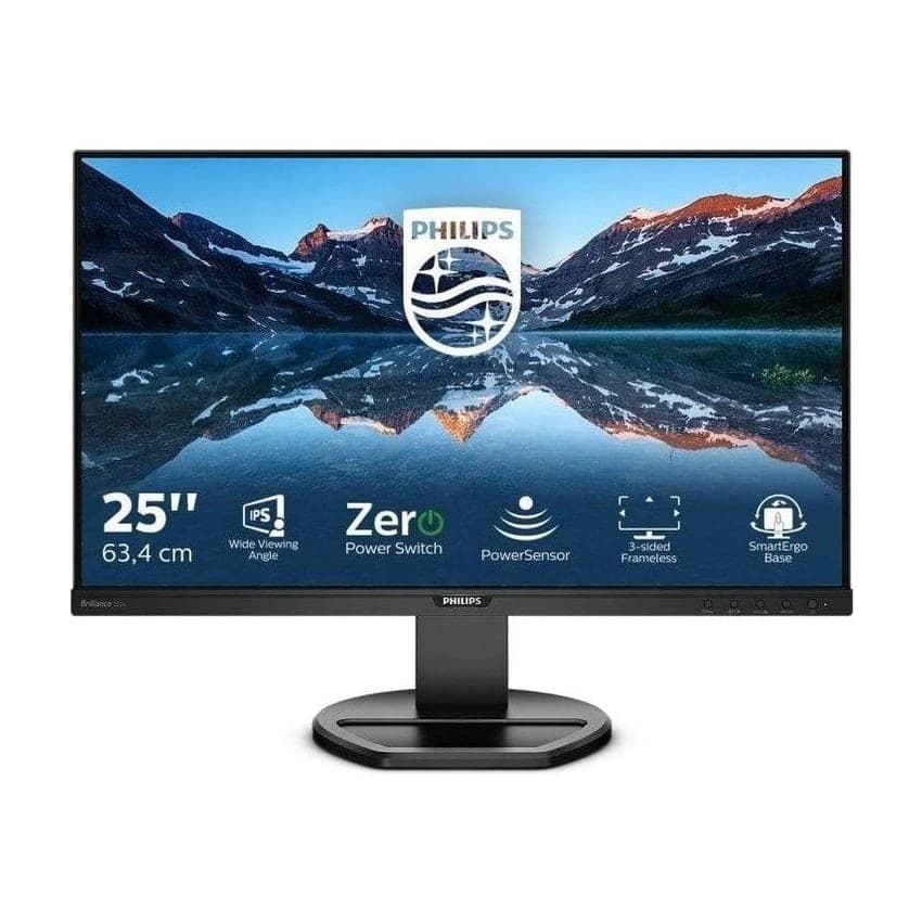 Philips B Line 252B9/00 25" Monitor