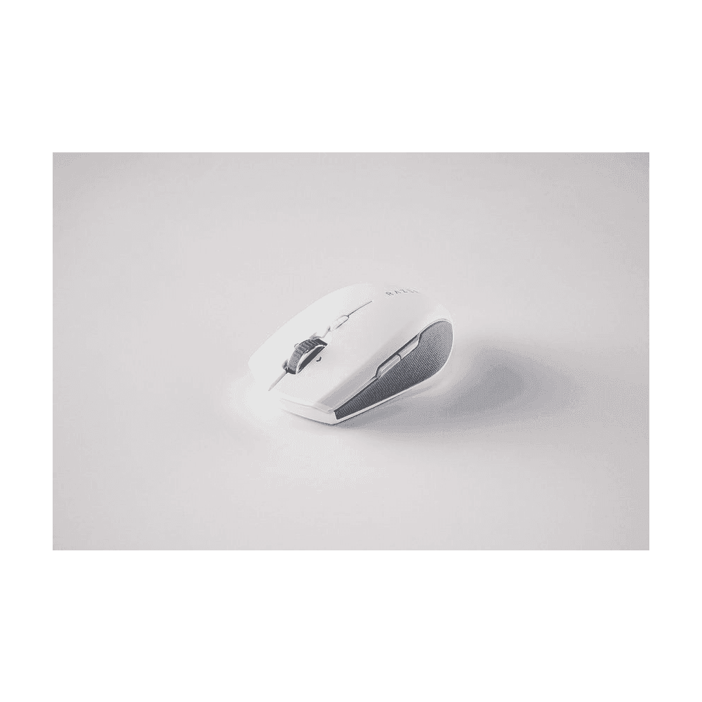 Razer Pro Click Mini
