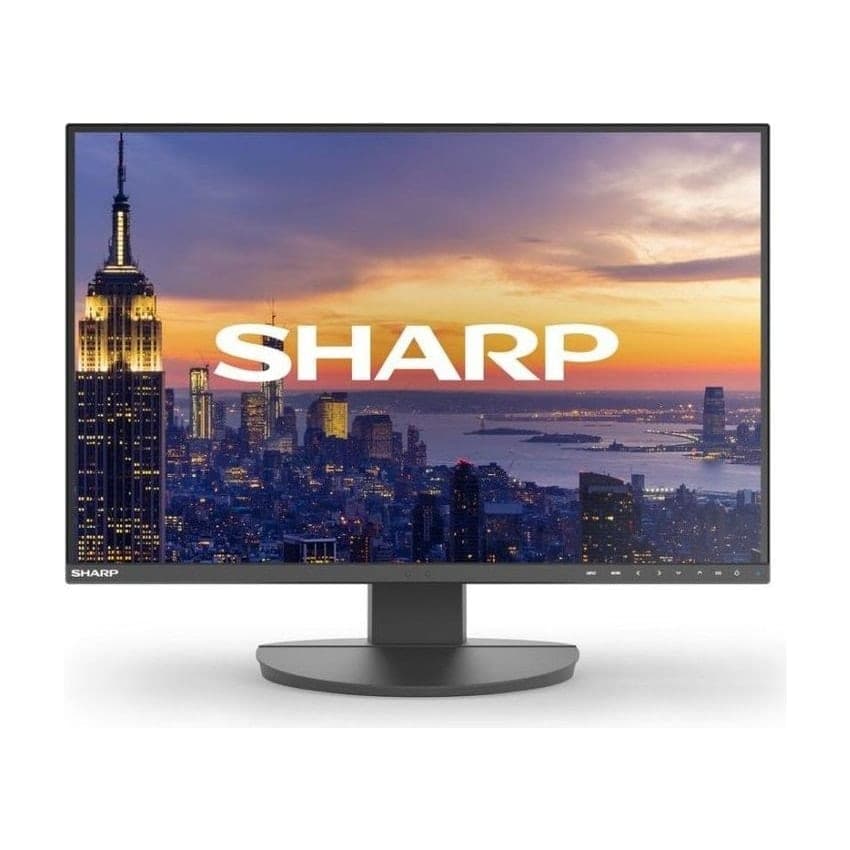 Sharp MultiSync EA242W 24" Monitor