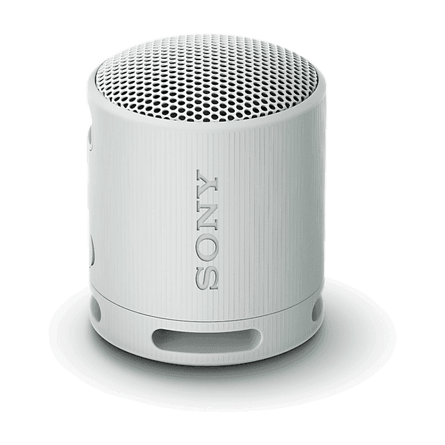 Sony SRS-XB100
