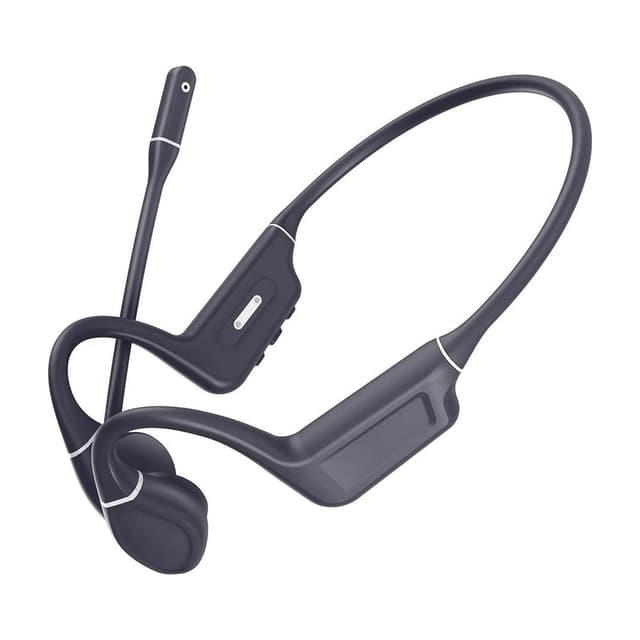 Vieta Pro Bone Dual Mic