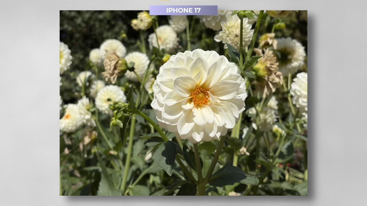 Apple iPhone 17