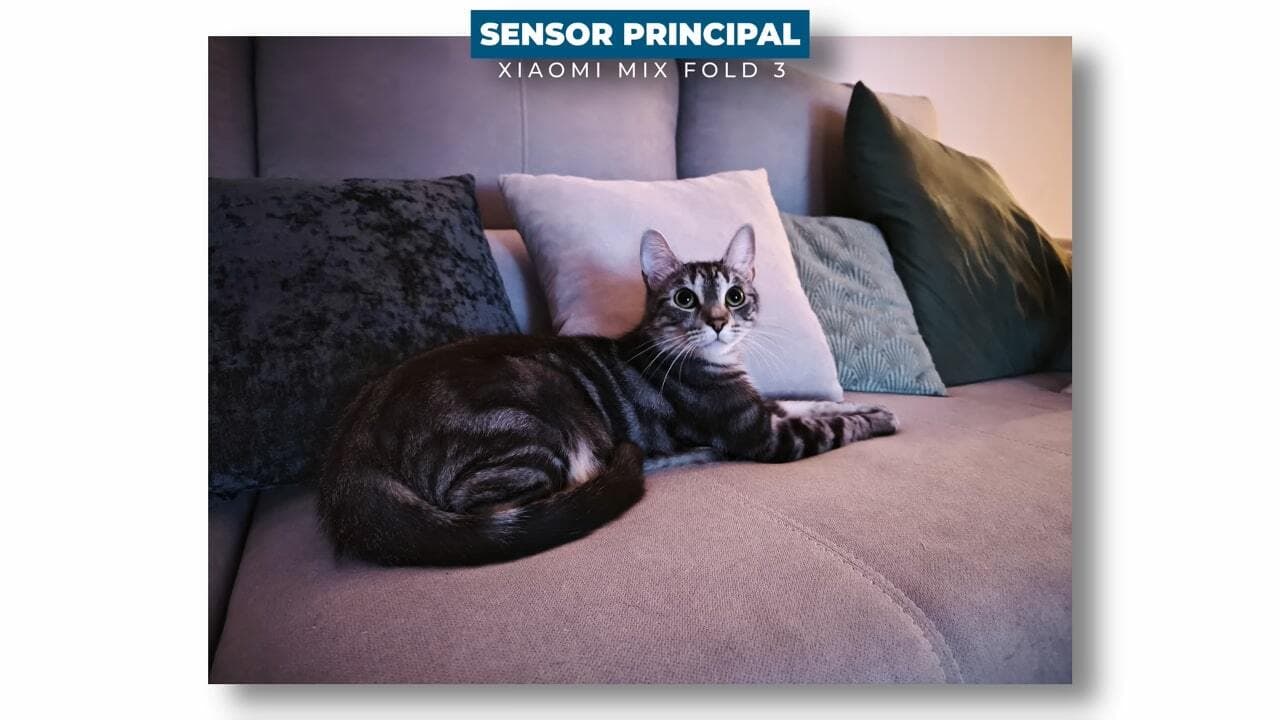 Análisis Xiaomi MIX Fold3 sensor principal