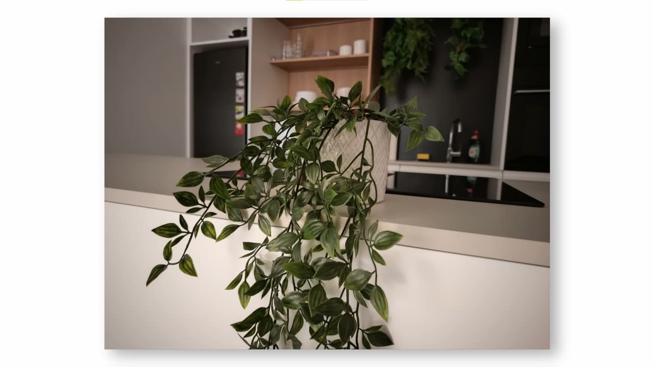 análisis fotografía HONOR Magic6 Lite 5G