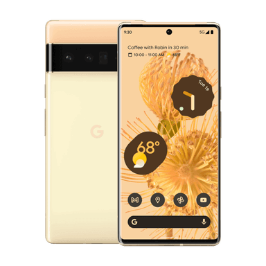 Google Pixel 6 Pro
