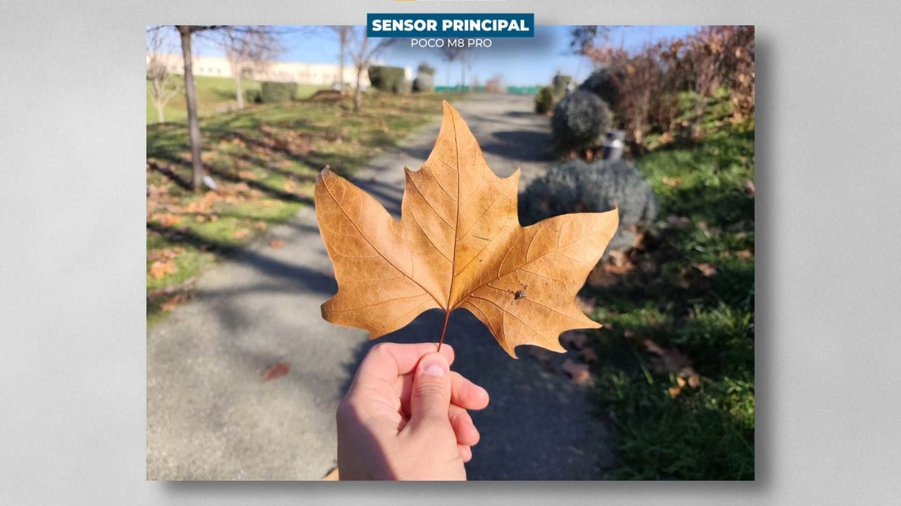 POCO M8 Pro 5G sensor principal