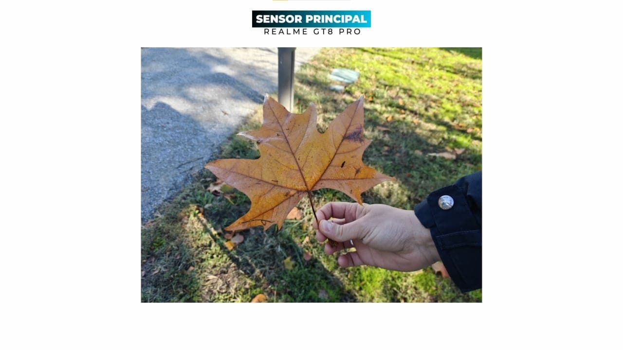 realme GT 8 Pro sensor principal