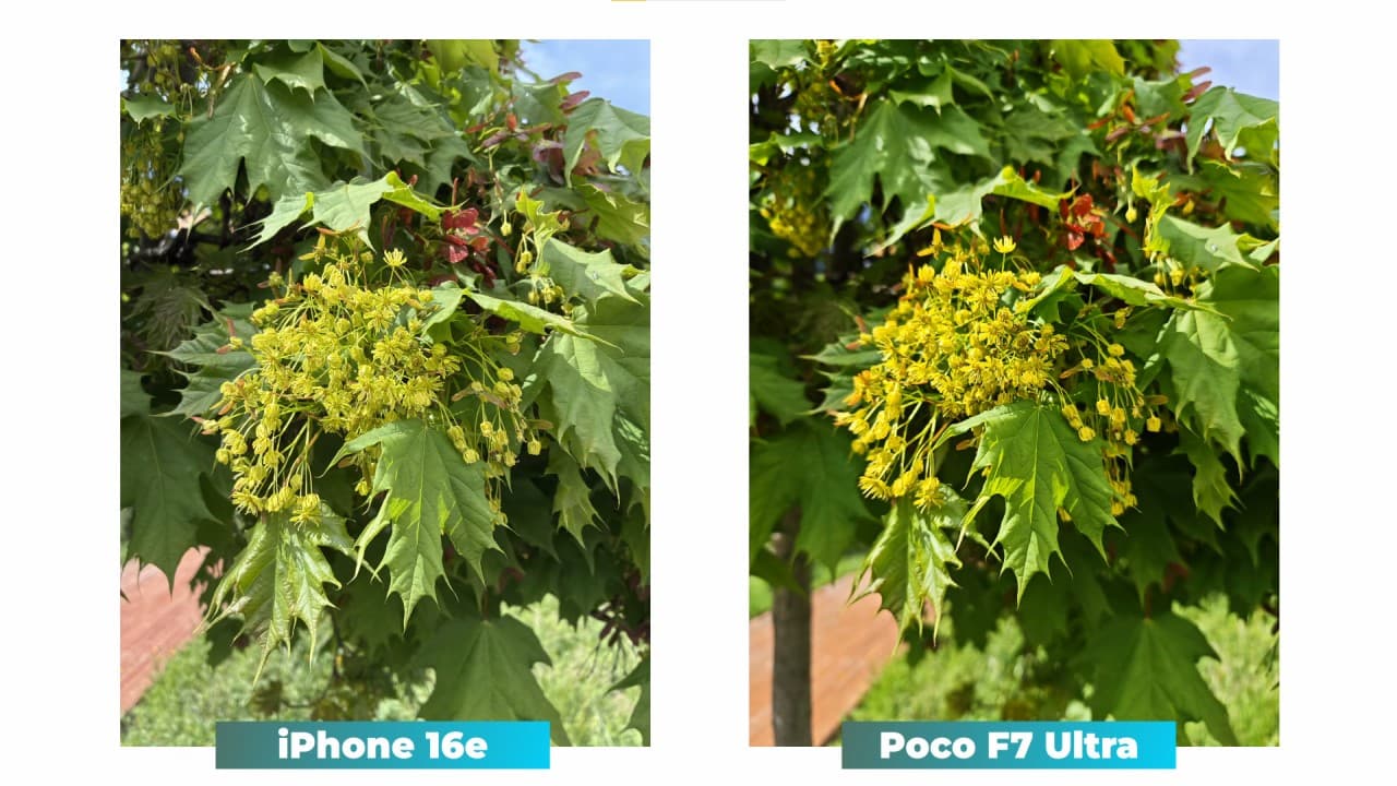 Apple iPhone 16e vs POCO F7 Ultra