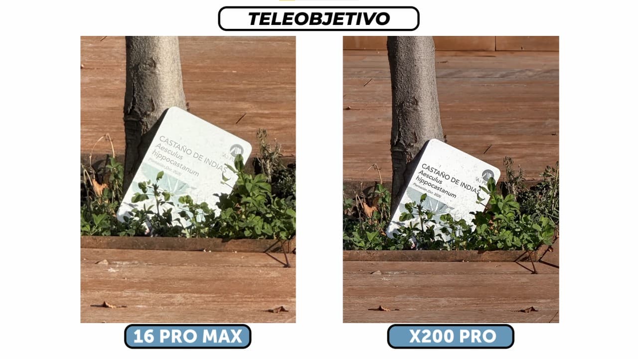 Vivo X200 Pro vs Apple iPhone 16 Pro Max