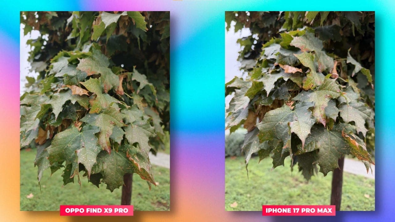 OPPO Find X9 Pro vs iPhone 17 Pro Max sensor principal