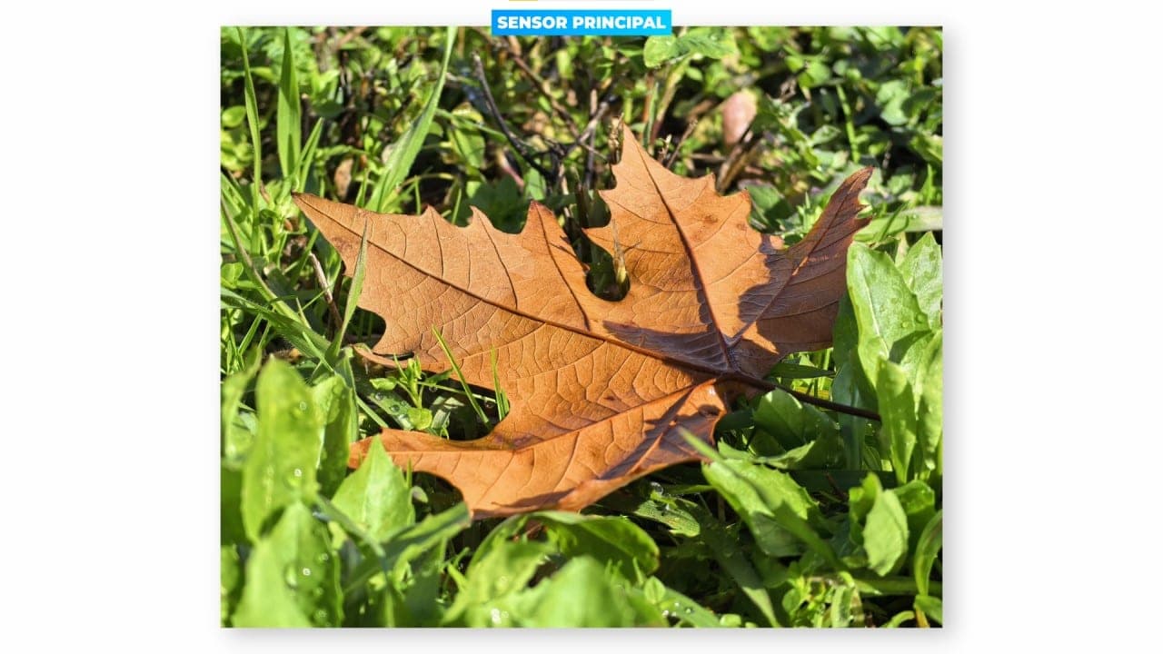 HUAWEI Mate X7 sensor principal