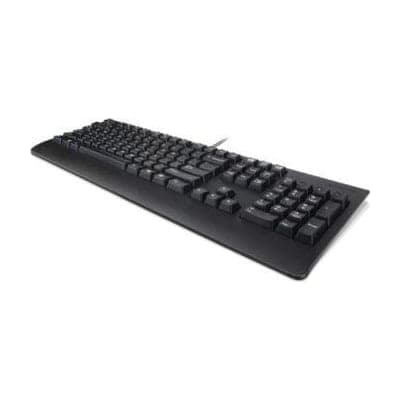 Lenovo 4X30M86918 USB QWERTY Inglés EE.UU.