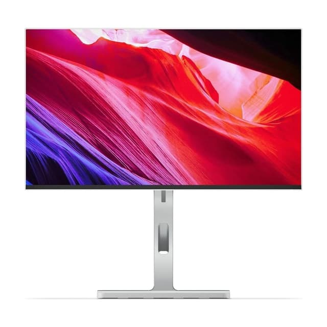 Lenovo L24m-4A 24" Full HD 100 Hz Monitor