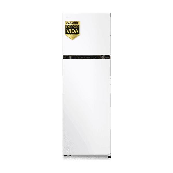 LG GTBV20SWZJD Frigorífico dos puertas No Frost 168 cm