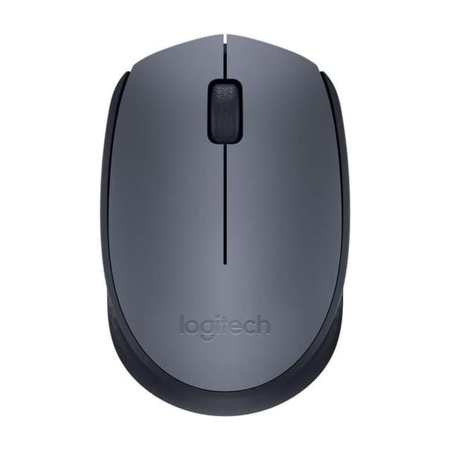 Logitech M170