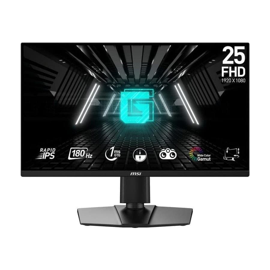 MSI G255PF E2 24.5"