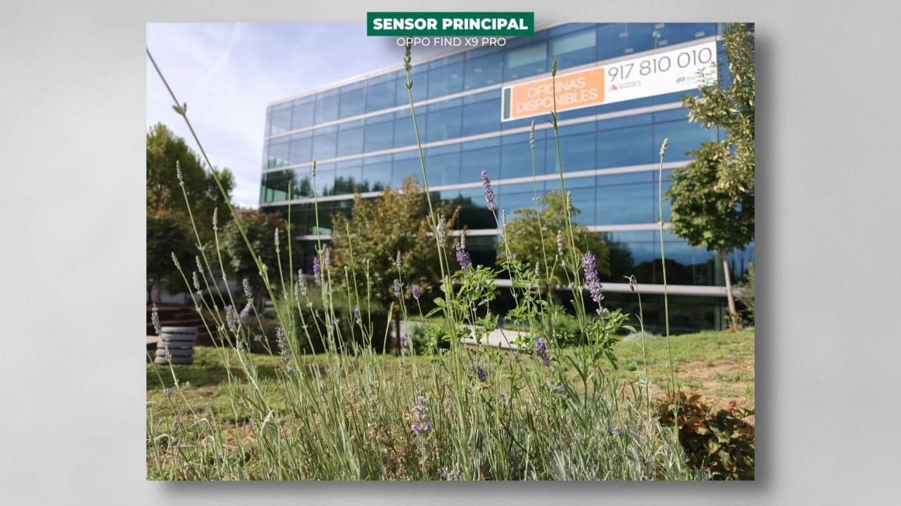 OPPO Find X9 Pro sensor principal